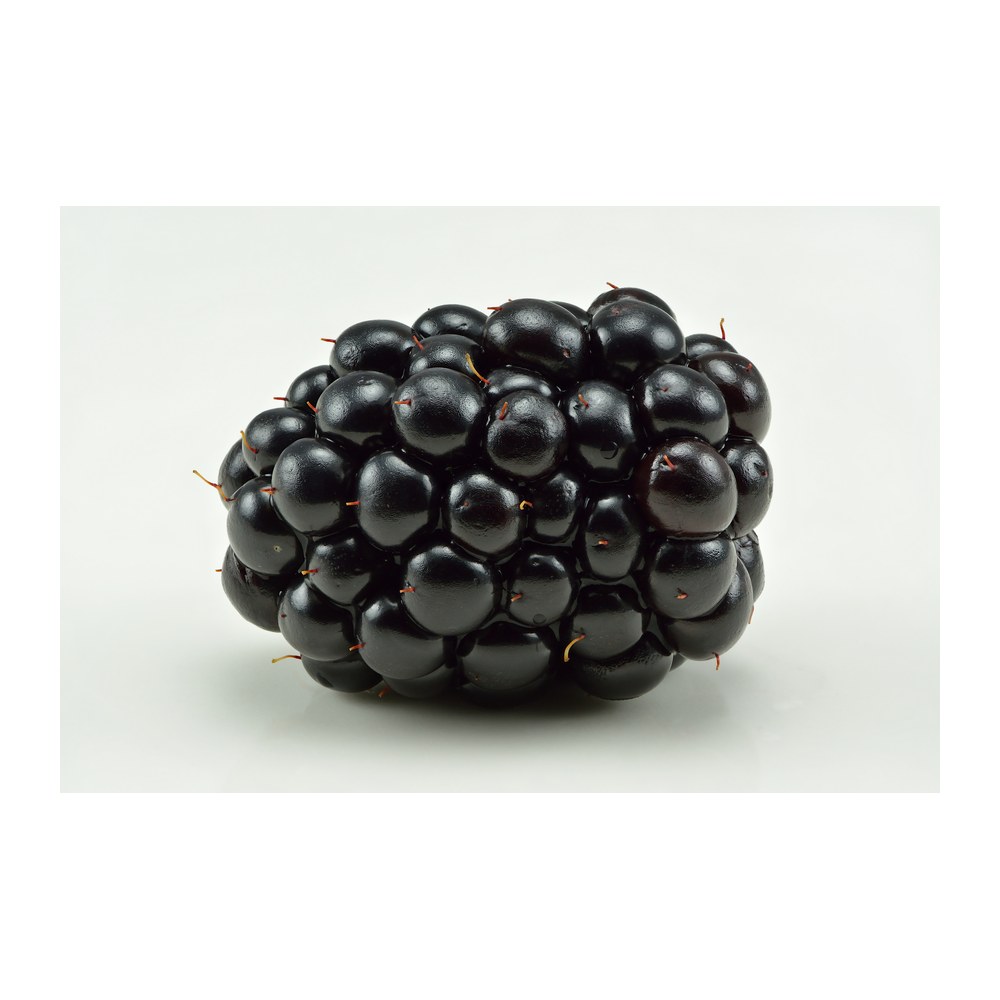 Saisonkalender Thermomix® · Was hat wann Saison? 17 wmc saison brombeeren