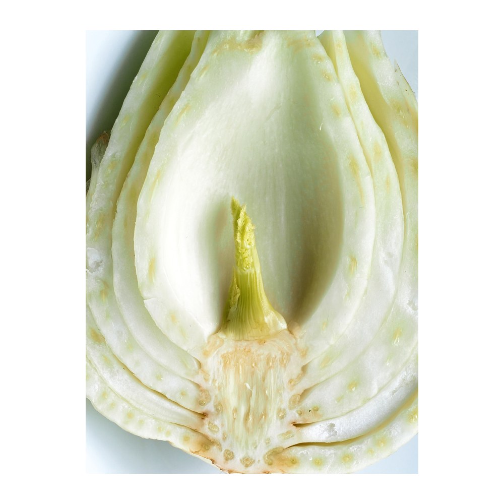 Saisonkalender Thermomix® · Was hat wann Saison? 39 wmc saison fenchel