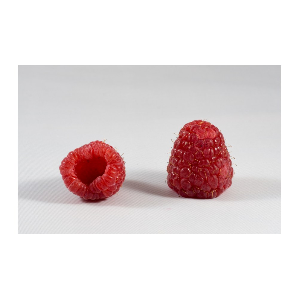 Saisonkalender Thermomix® · Was hat wann Saison? 14 wmc saison himbeeren