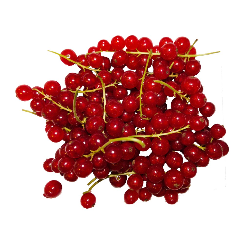 Saisonkalender Thermomix® · Was hat wann Saison? 15 wmc saison johannisbeeren