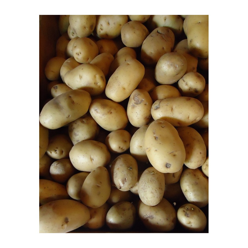 Saisonkalender Thermomix® · Was hat wann Saison? 42 wmc saison kartoffeln