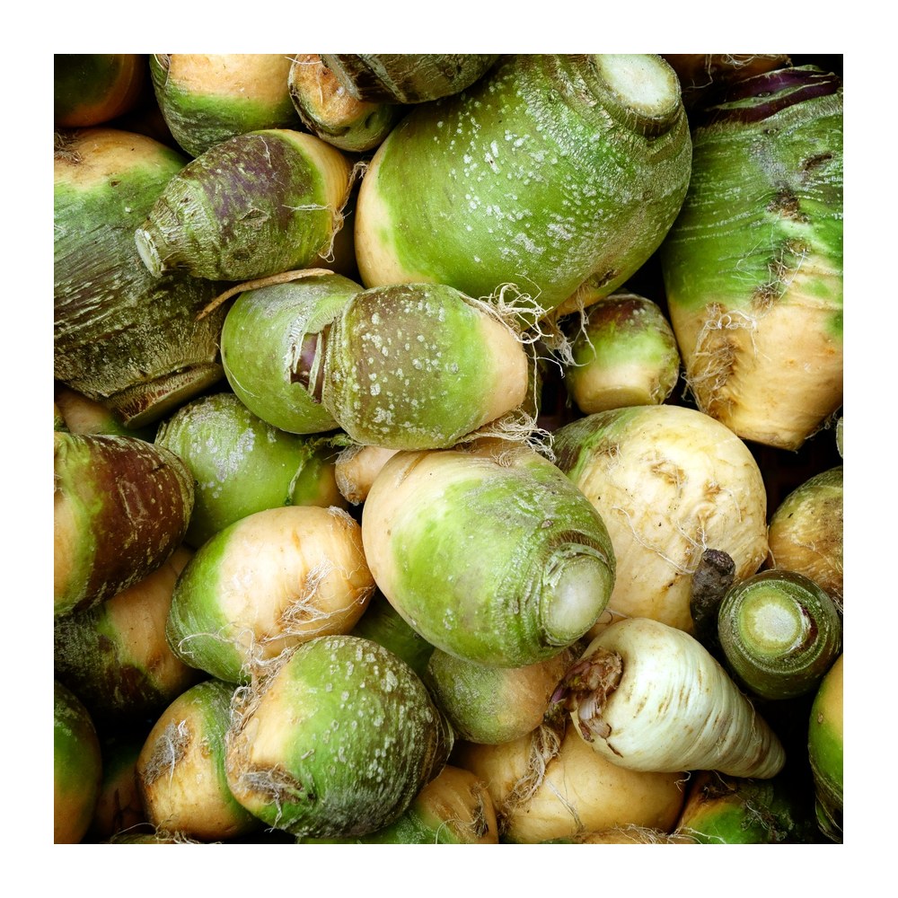 Saisonkalender Thermomix® · Was hat wann Saison? 46 wmc saison steckruebe