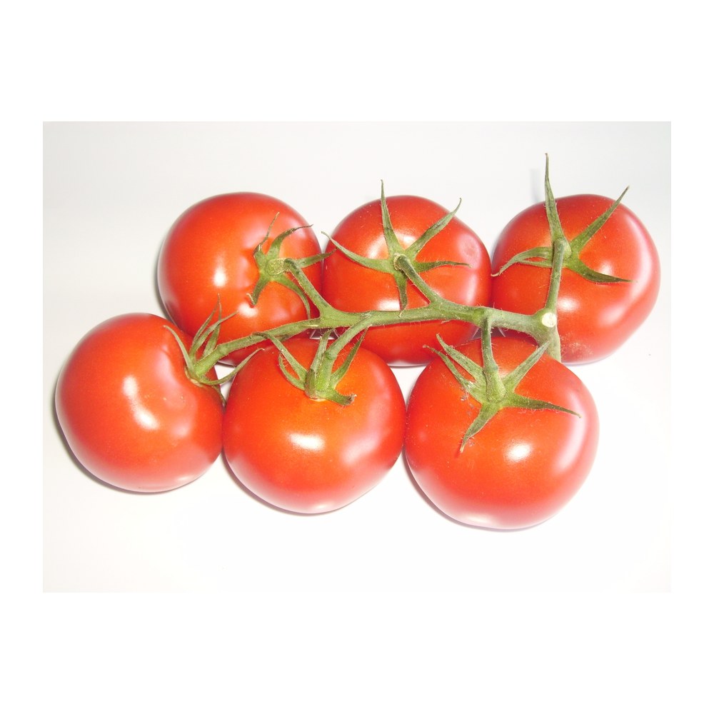 Saisonkalender Thermomix® · Was hat wann Saison? 33 wmc saison tomaten