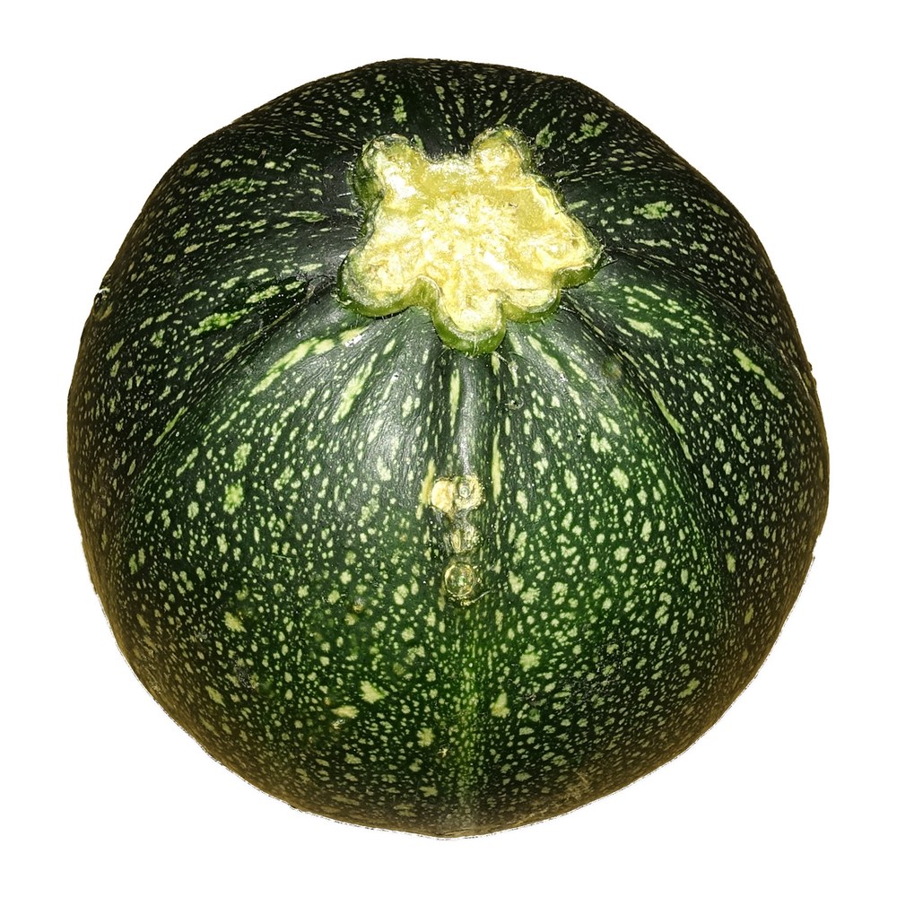 Saisonkalender Thermomix® · Was hat wann Saison? 24 wmc saison zucchini