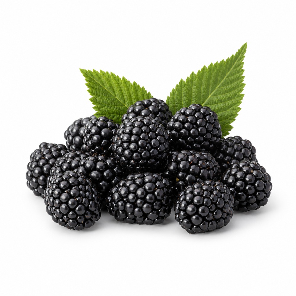 Saisonkalender Februar · Was hat im Februar Saison? 61 wmc saison brombeeren studio v2