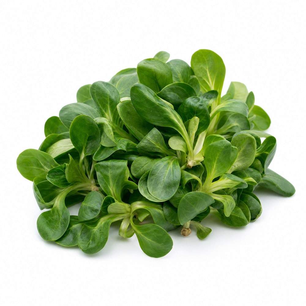 Saisonkalender Februar · Was hat im Februar Saison? 1 Feldsalat