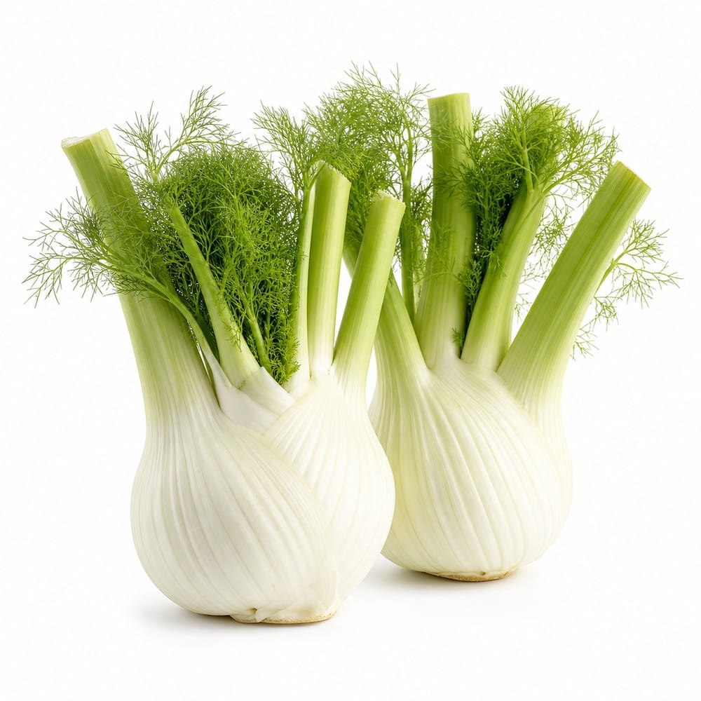Saisonkalender Thermomix® · Was hat wann Saison? 6 Fenchel