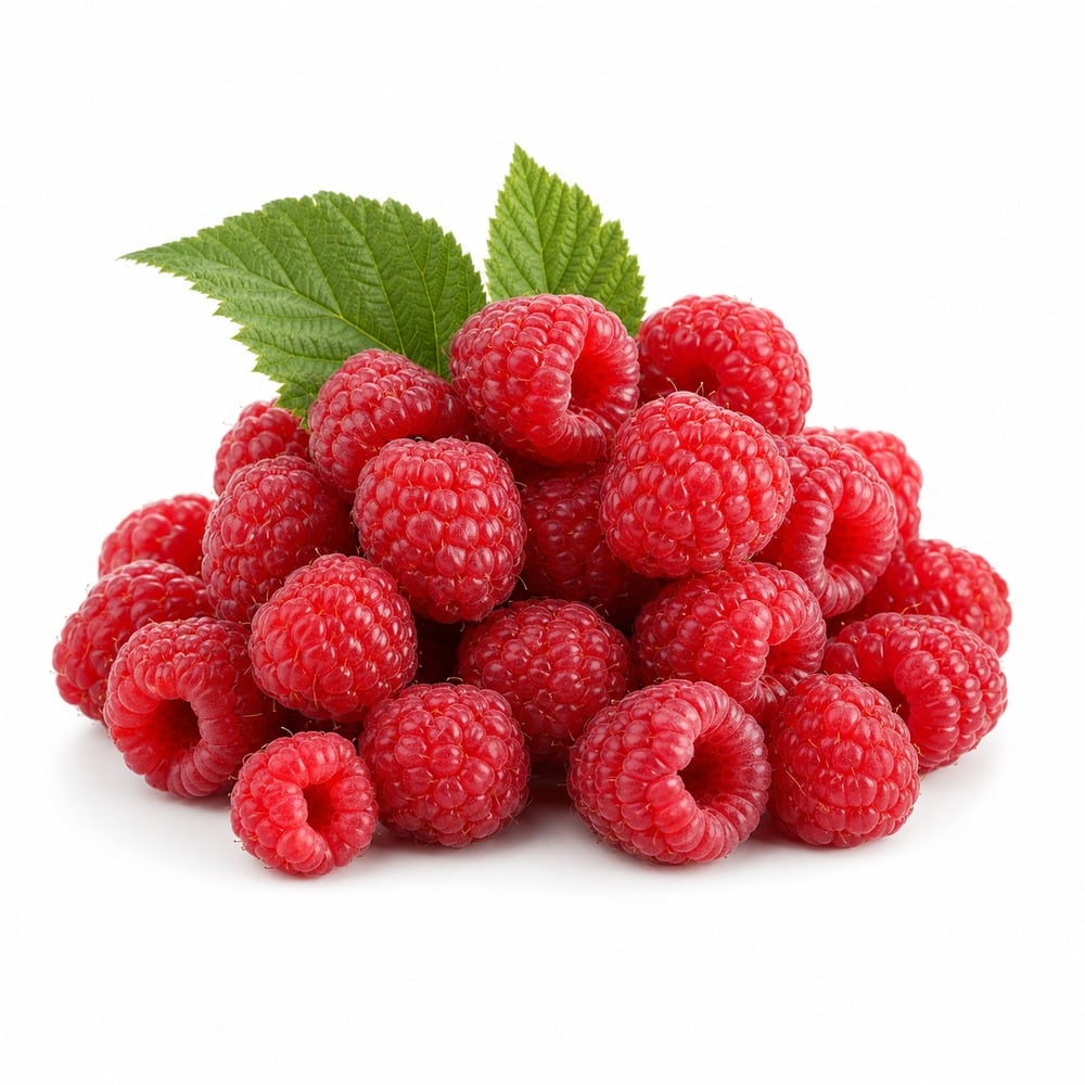 Saisonkalender Februar · Was hat im Februar Saison? 58 wmc saison himbeeren studio v2