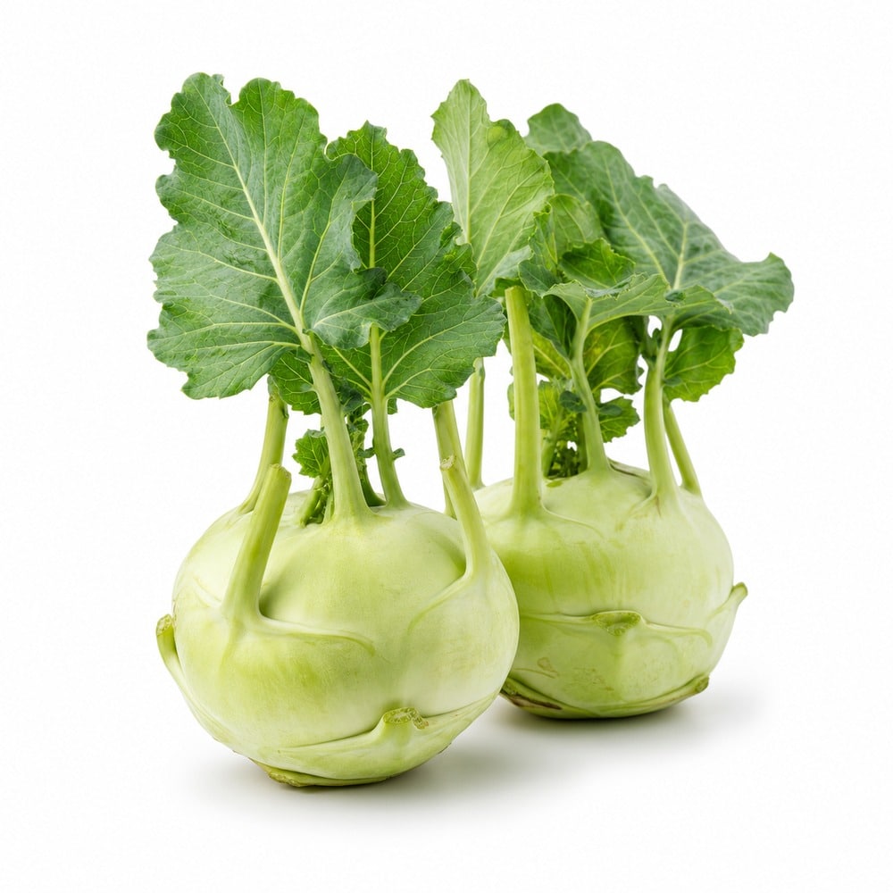 Saisonkalender Februar · Was hat im Februar Saison? 53 wmc saison kohlrabi studio v2