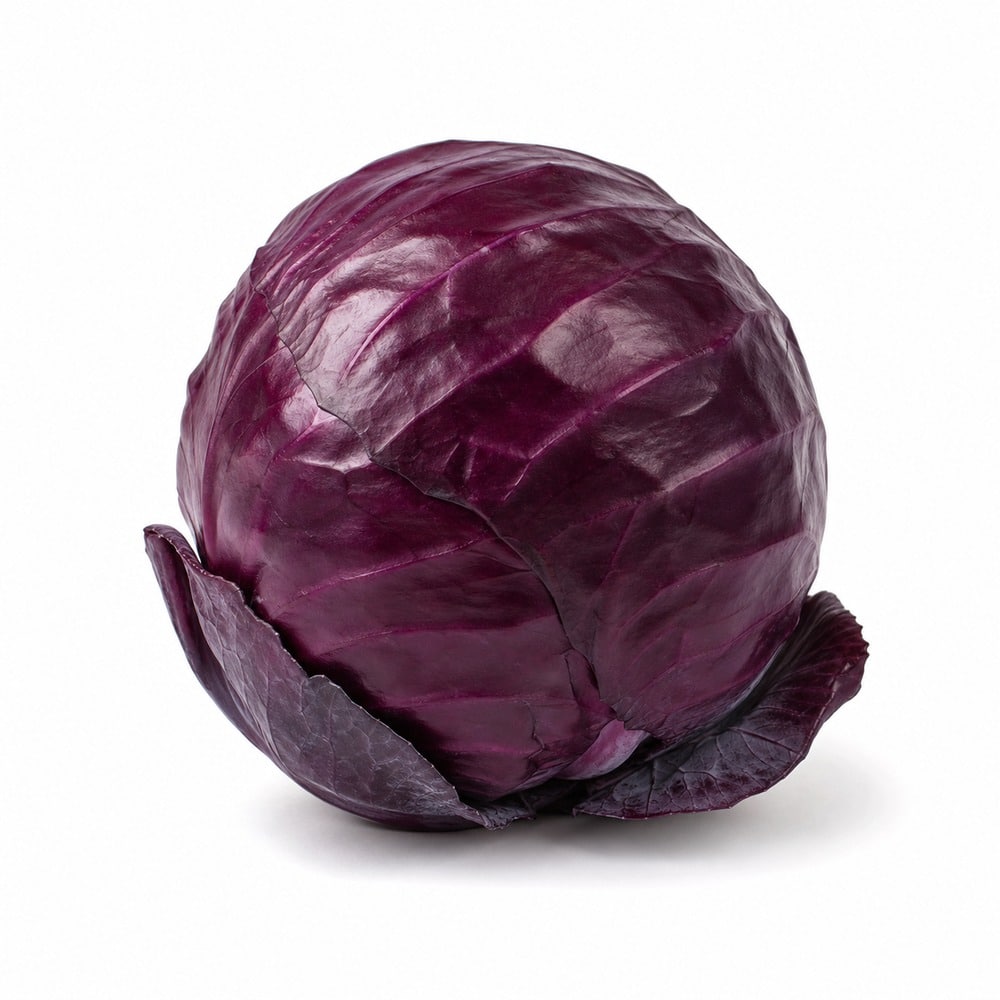 Saisonkalender Februar · Was hat im Februar Saison? 13 Rotkohl / Rotkraut