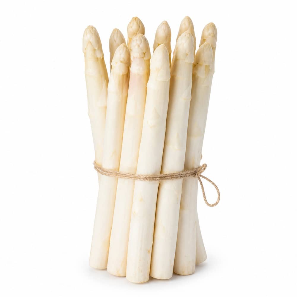 Saisonkalender Februar · Was hat im Februar Saison? 49 wmc saison spargel studio v2