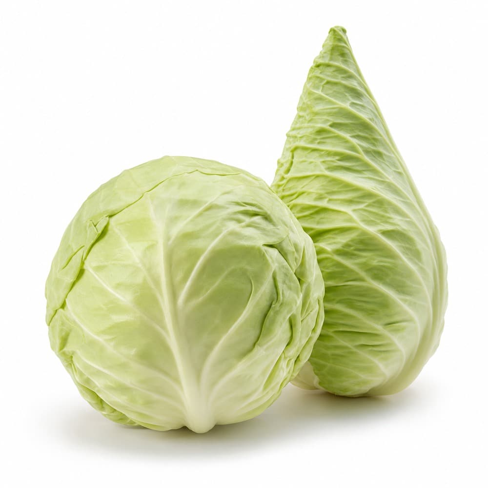 Saisonkalender Februar · Was hat im Februar Saison? 16 Weißkohl / Spitzkohl